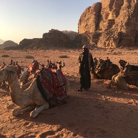 Shelly Greendyk (Photo #175, Jordan)